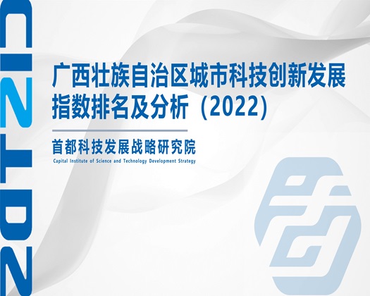 男人疯狂的日逼【成果发布】广西壮族自治区城市科技创新发展指数排名及分析（2022）